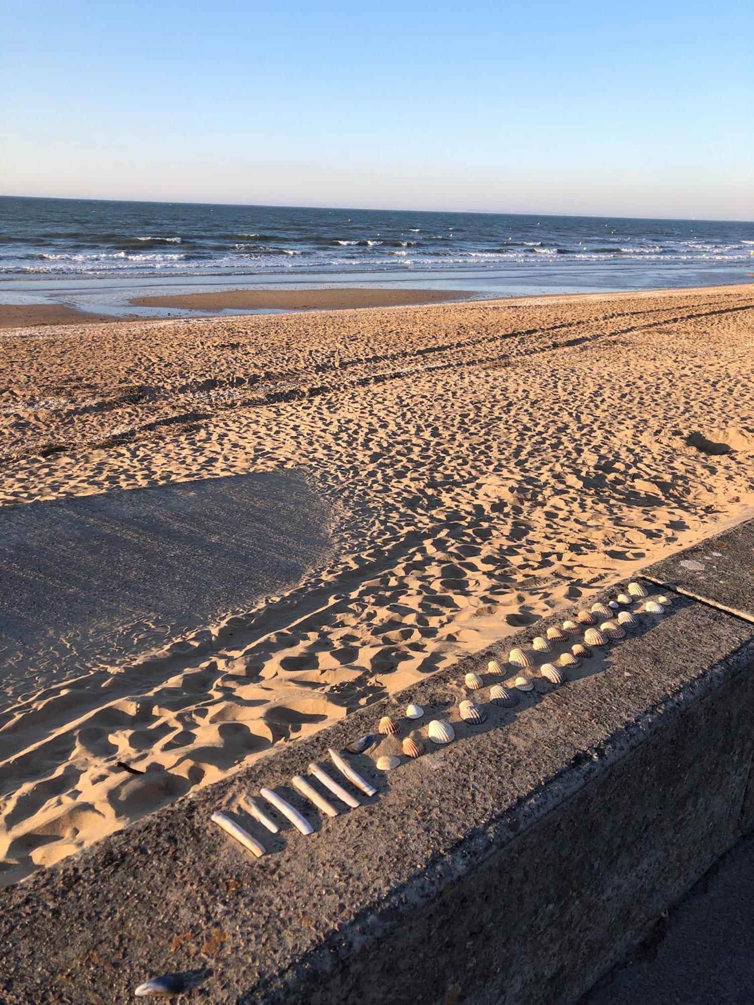 Le Petit Navire - Acces Direct Plage 卡布尔 外观 照片